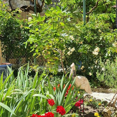 Issigeac La Casa Nomade B&B 외부 사진
